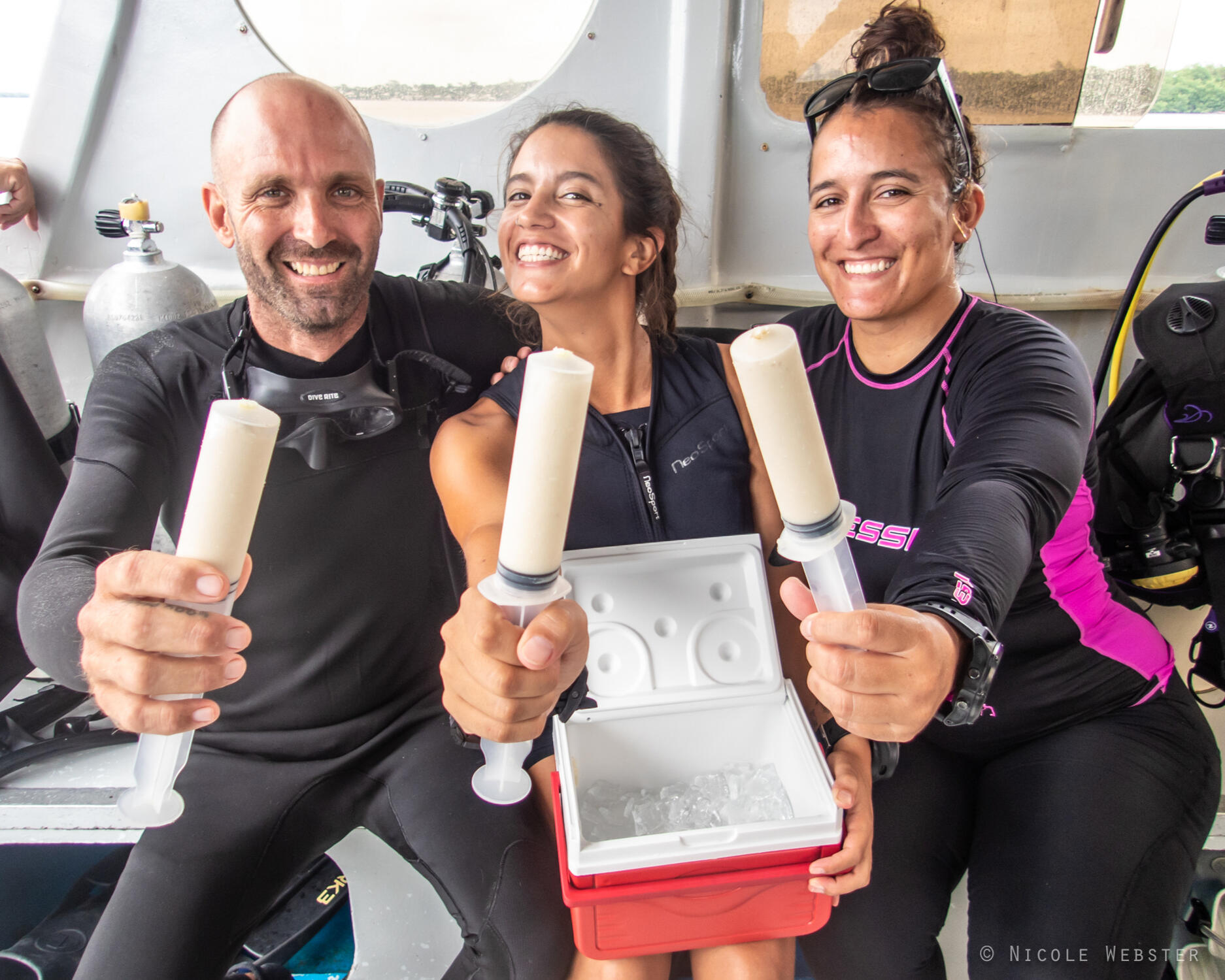 Hope for the future: While the fight against SCTLD is ongoing, the dedication and success of conservationists and scientists offer a beacon of hope for the future of coral reefs.