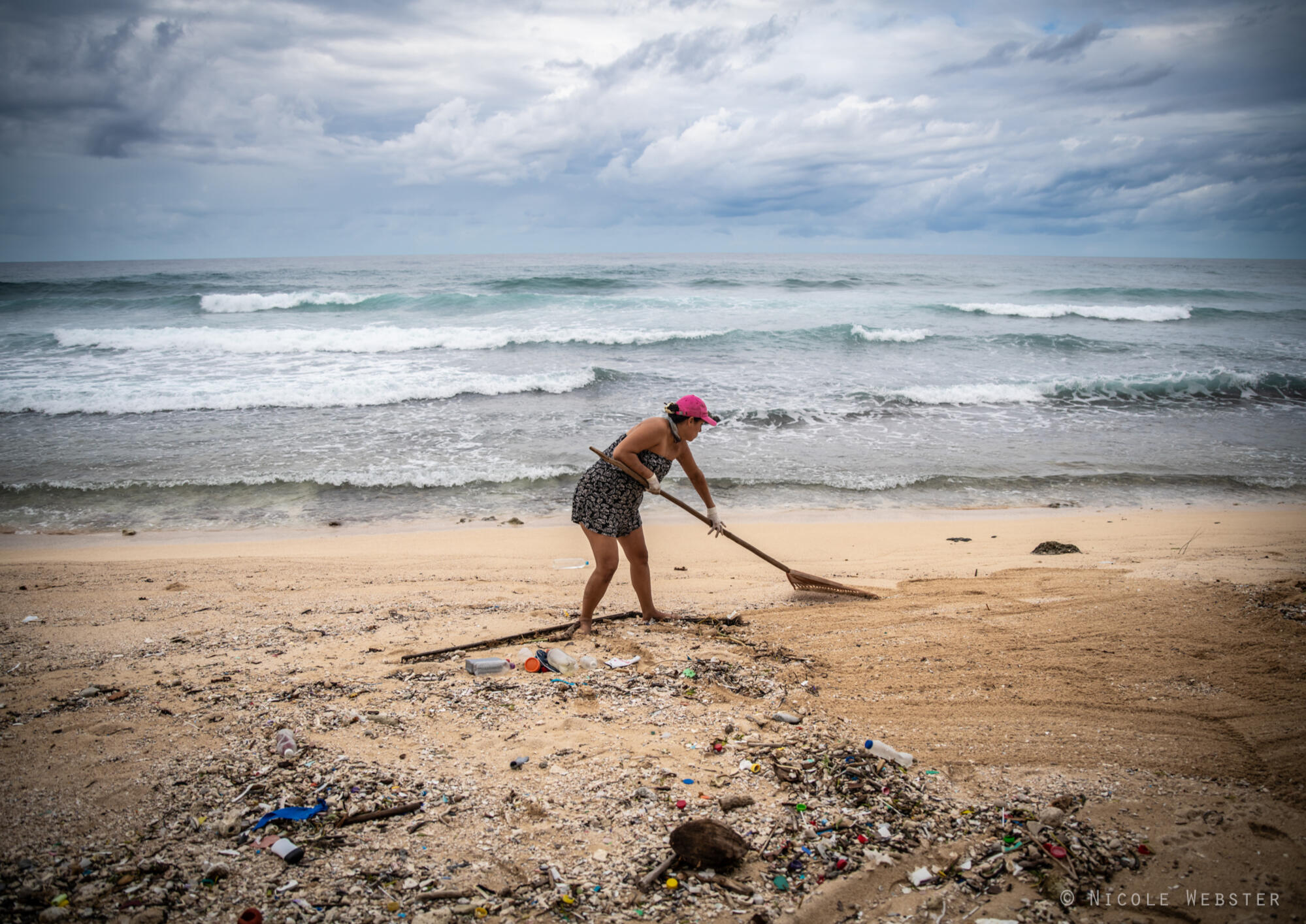 A Home for Hawksbills: BICA, a Honduran conservation organization, works to restore habitats, removing debris to create a safe environment for endangered turtles.