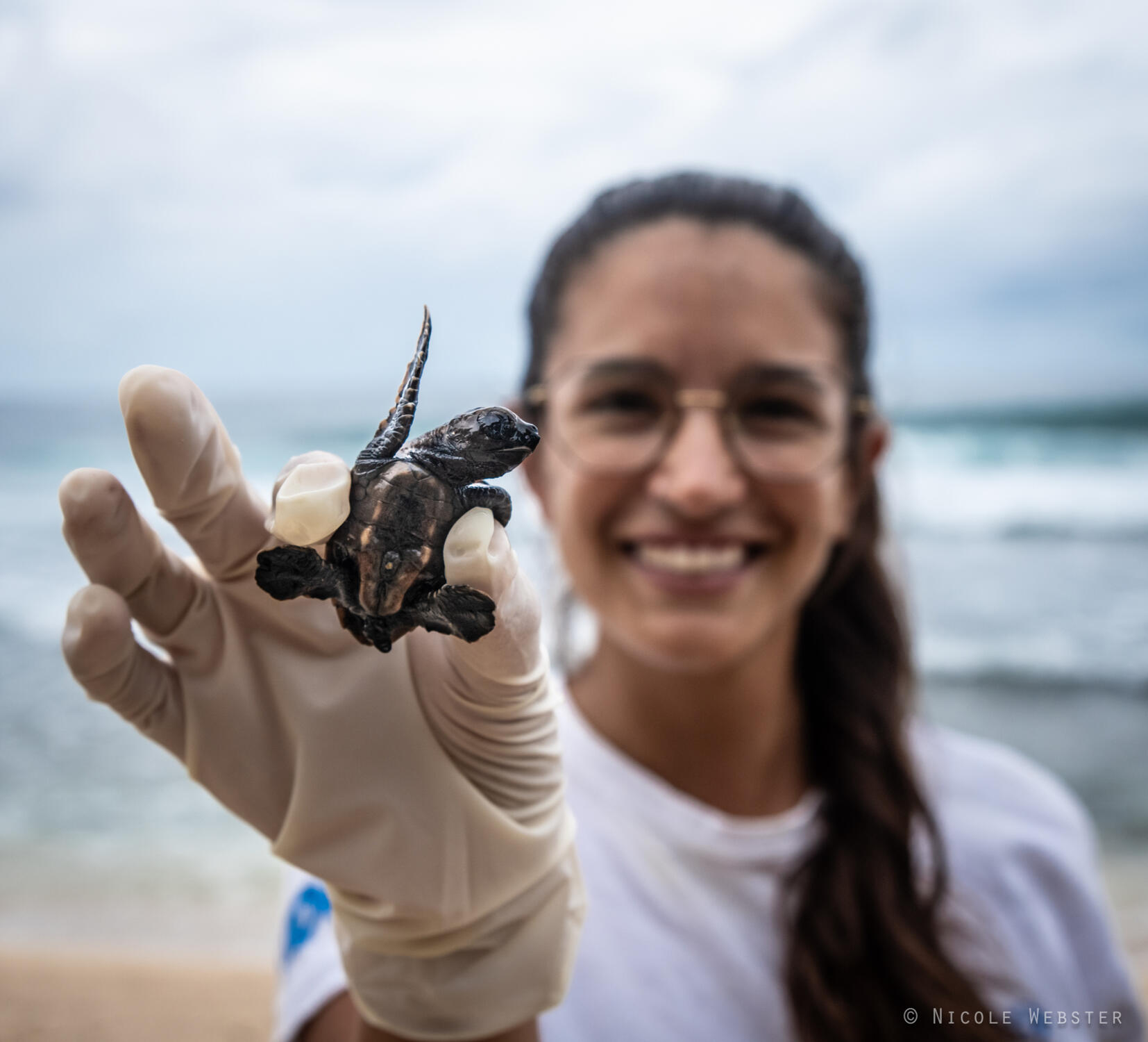 A Call for Action: The release of hatchlings is a poignant reminder of the ongoing need for conservation efforts, urging more volunteers to join in the fight for the future of hawksbill turtles.