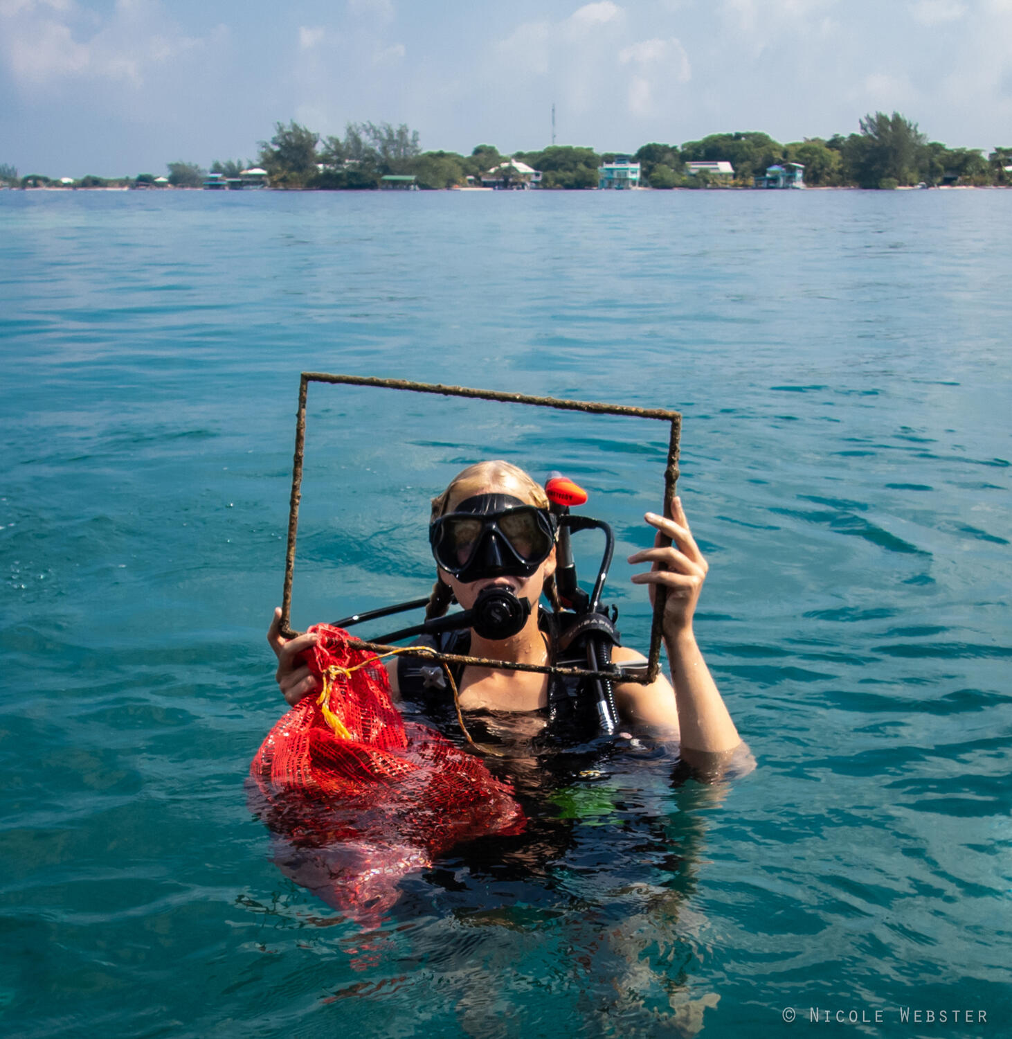 Ongoing Commitment: As divers resurface, they reflect on their achievements and the work that lies ahead, recognizing that ocean clean-up is an ongoing mission for healthier seas.