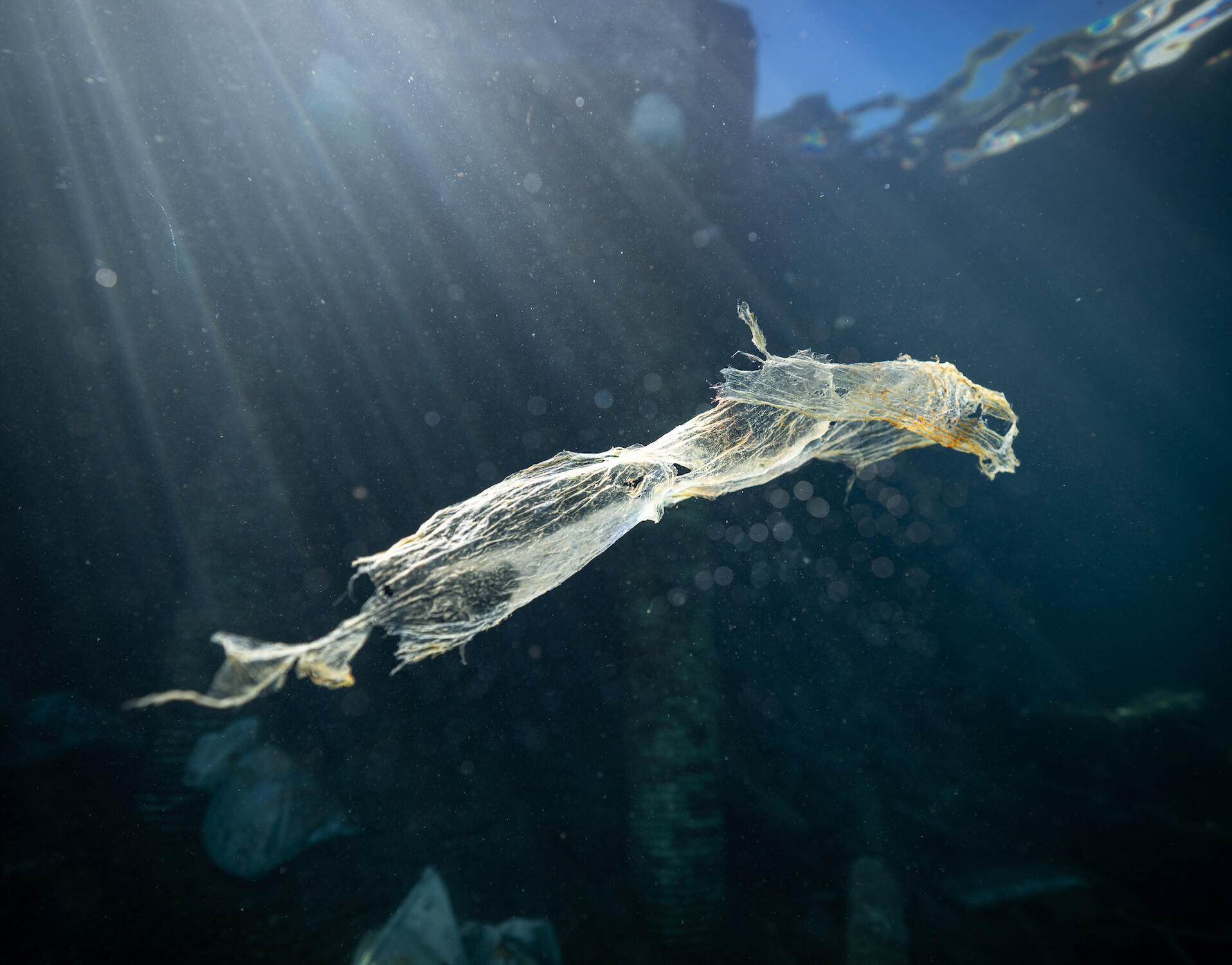 From Trash to Treasure: Each piece of garbage pulled from the ocean floor represents a small victory in the fight to restore the marine ecosystem.